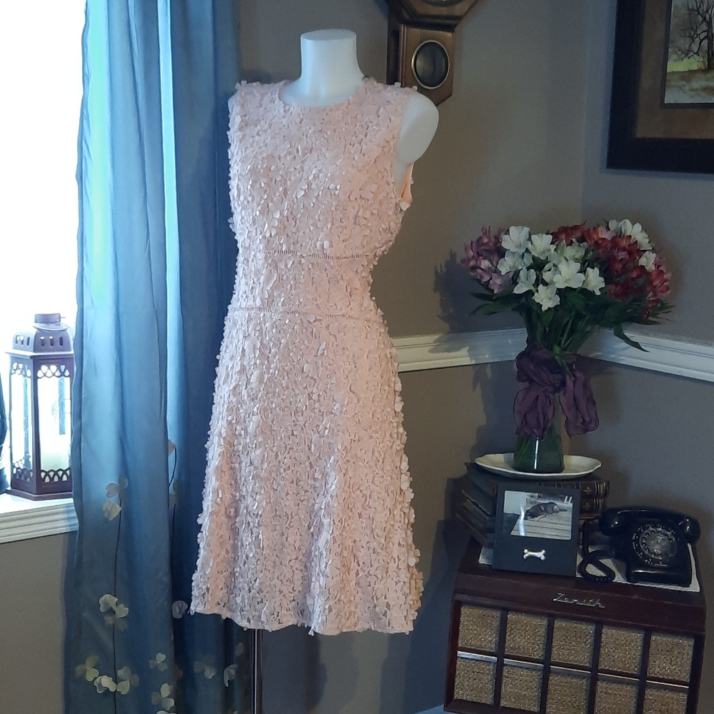 Ladies Dress